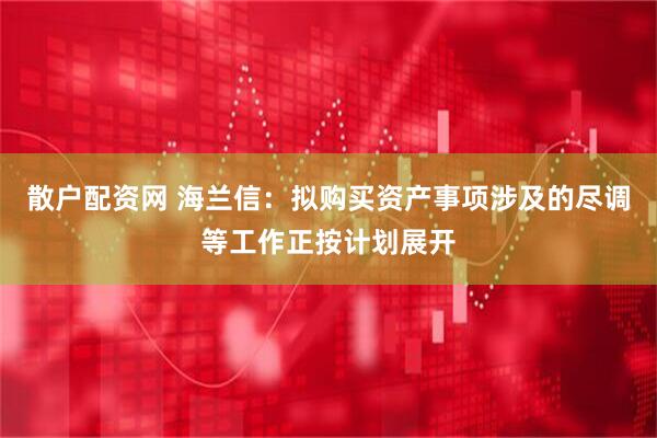 散户配资网 海兰信：拟购买资产事项涉及的尽调等工作正按计划展开