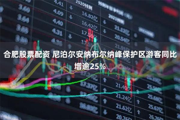 合肥股票配资 尼泊尔安纳布尔纳峰保护区游客同比增逾25%